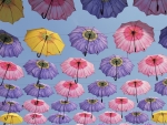 Umbrellas