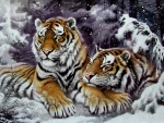 Winter Tigers