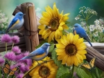 Birds and flowers
