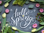 Hello Spring