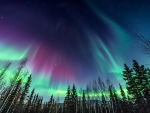 Amazing northern lights