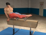 Pommel-horse-training