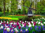 Keukenhof garden