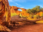 Skyline Arch at Arches National Park