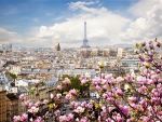 Spring in Paris