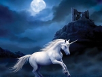 Moonlight Unicorn
