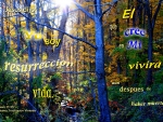 La Resurreccion y La Vida