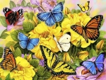 Butterflies on Flowers