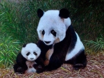 The Panda Bears