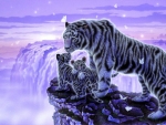 Tigers on the Waterfall