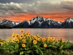 Gran teton
