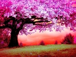 Pink Tree