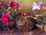 Somebunnys Flower Garden-