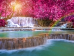 Tropical Waterfall