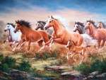 Horses