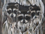 Racoon Trio