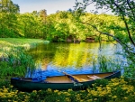 Canoe in Wildflowers at the Lake