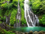 Waterfall in rainforest