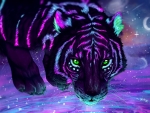 Galaxy Tiger