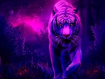 Purple Tiger