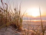 Sand - sea  -  sunset