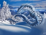 snow dragon