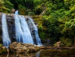Ryde Falls, New Zealand