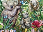 Koala bears