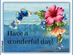 WONDERFUL DAY