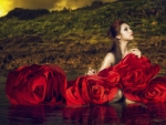 Bathed in roses
