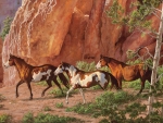 Horses