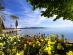 Mainau island