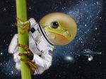 Frog Astronaut