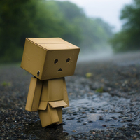 Danbo Alone