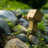 Danbo with Flower