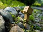 Danbo with Flower