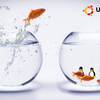 Linux-Ubuntu-GoldFish-Bowls