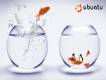 Linux-Ubuntu-GoldFish-Bowls