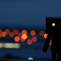 Danbo at Night