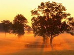 Horse Farm Sunrise Versailles Kentucky