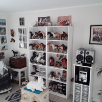 My Breyer Horse Collection