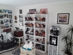 My Breyer Horse Collection
