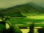 Green Hills & Fields