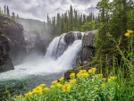Waterfall in Spring