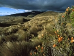 Ecuadorian landscape