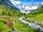 Zillertal valley in spring