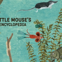 Little Mouse Encyclopedia Wallpapers