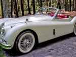 1957 Jaguar XK140