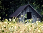 An old barn near Brevard, North Carolina
