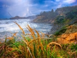 Coastal Oregon